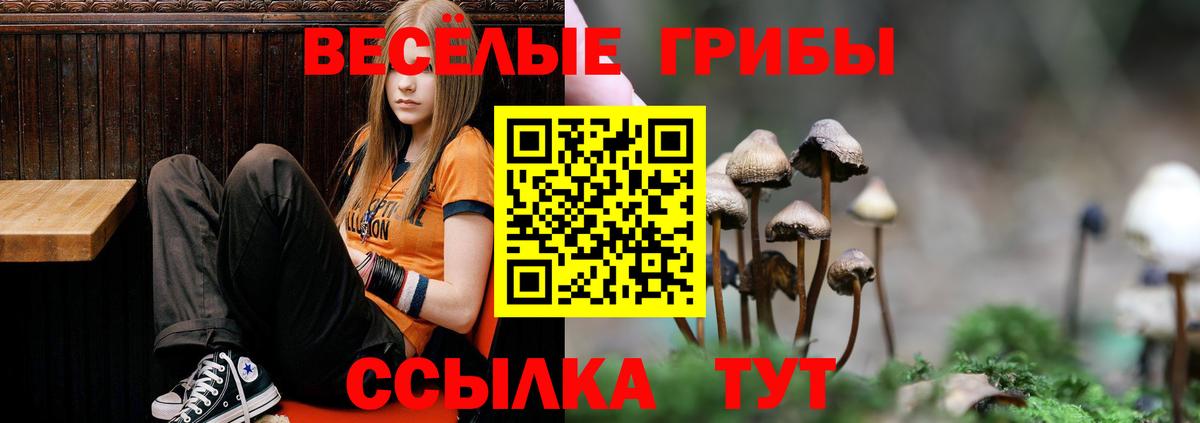 Псилоцибиновые грибы Cubensis  Псилоцибиновые грибы Psilocybe  Вход с VPN  Назрань 